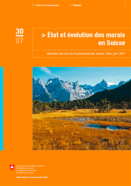 Cover État et évolution des marais en Suisse. Résultats du suivi de la protection des marais. État: juin 2007. 97 p.