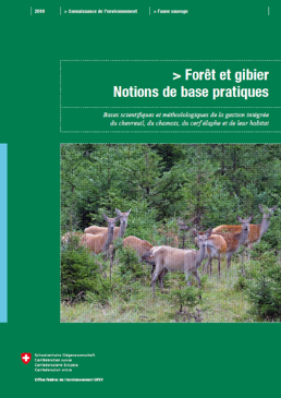 Forêt et gibier – Notions de base pratiques