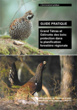 Cover Grand Tétras et Gélinotte des bois: protection dans la planification forestière régionale. Guide pratique. 2001. 30 p.