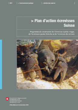 Cover Plan d’action écrevisses Suisse