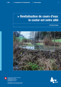 Cover Revitalisation de cours d’eau: le castor est notre allié