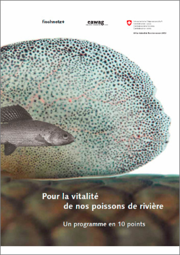 Cover Pour la vitalité de nos poissons de rivière. Un programme en 10 points. 2007. 24 p.