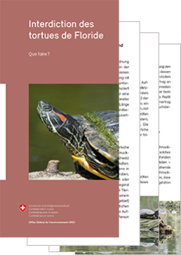 Cover Interdiction des tortues de Floride