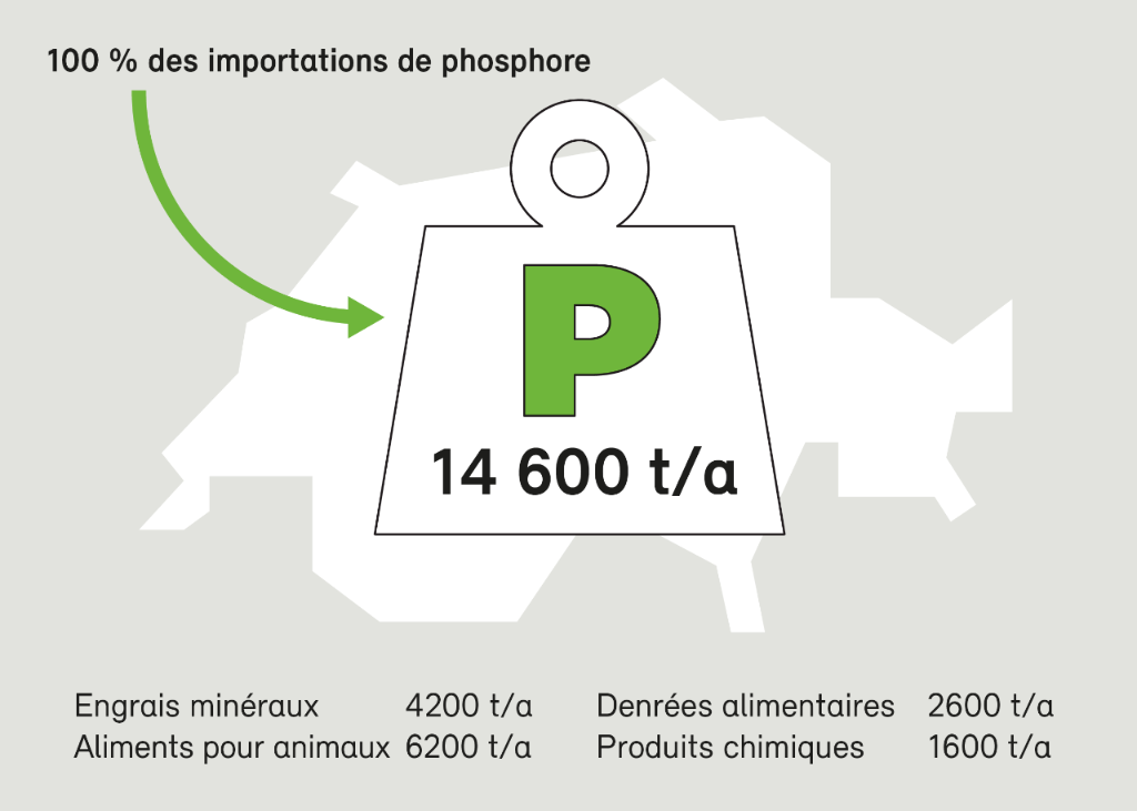 BAFU_PhosWeb_Jährliche_Phosphor-Importe_der_Schweiz_fr