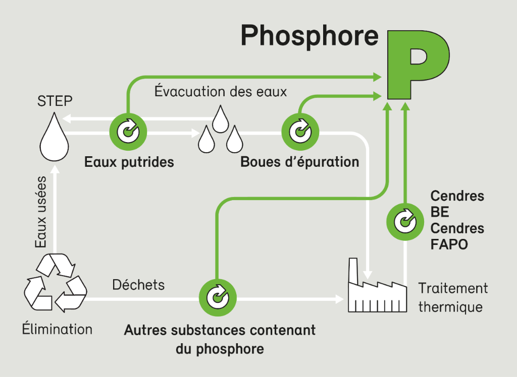 BAFU_PhosWeb_Möglichkeiten_der_Phosphorrückgewinnung_fr