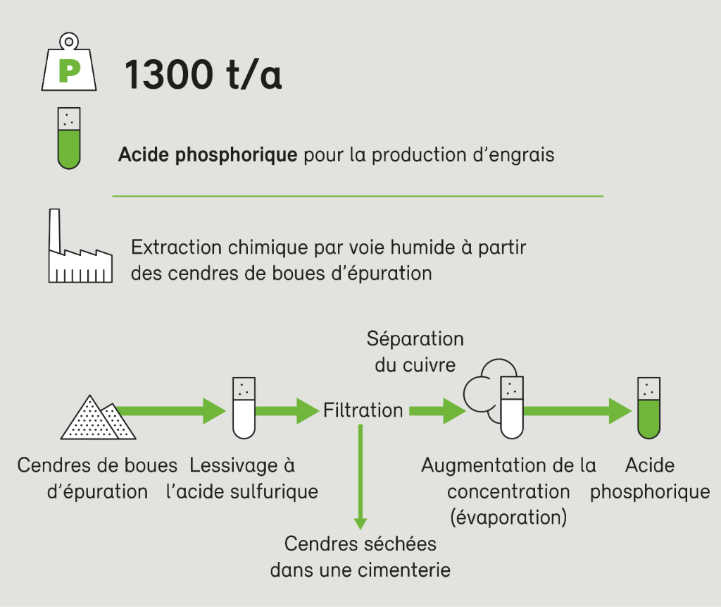 BAFU_PhosWeb_Phosphor26_fr