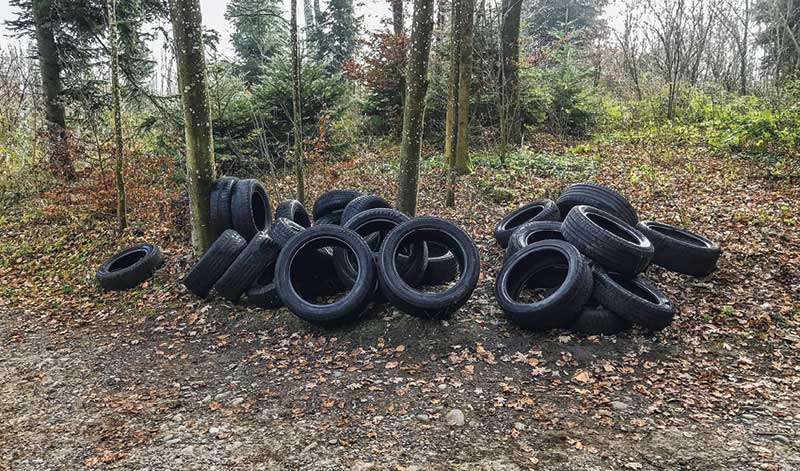 Altreifen im Wald deponiert