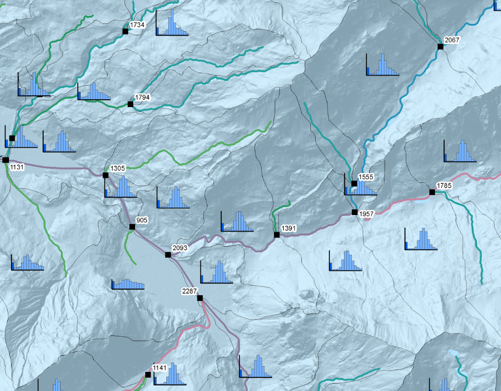 Bassins versants partiels dans la région d'Innertkirchen; types de régime d'écoulement sur les tronçons des effluents, altitude moyenne du bassin versant sur l'exutoire et modélisation, sous la forme de diagrammes à colonnes, de la moyenne des débits annuels et mensuels.