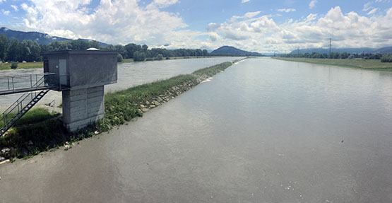 Rhein-Diepsoldsau Hochwasser Juni 2019