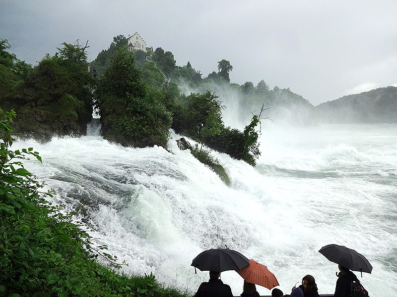 Les chutes du Rhin