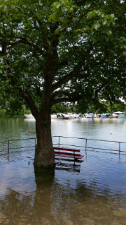 Lac de Constance, Lindau