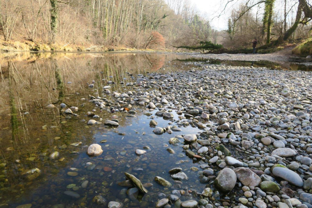 Thur près de Henau