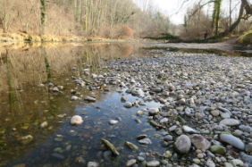 Thur près de Henau