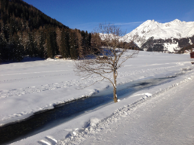 Dischmabach près de Davos