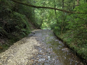 Rietholzbach