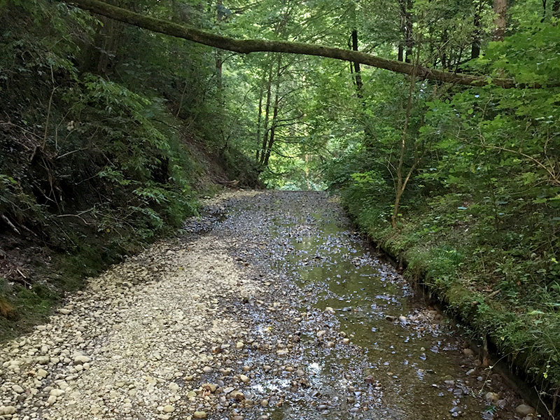 Rietholzbach