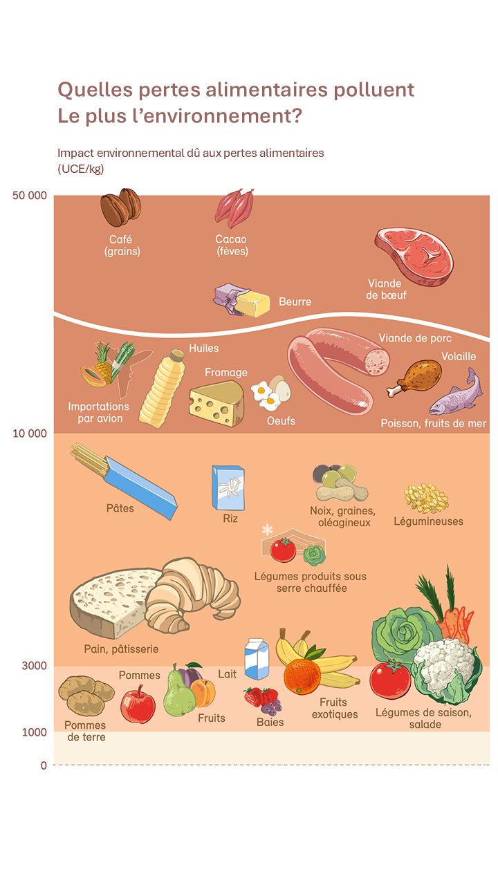 Quels déchets alimentaires polluent le plus l'environnement ?