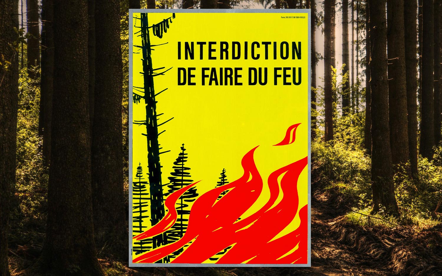 Brennpunkt Waldbrand-Plakat F