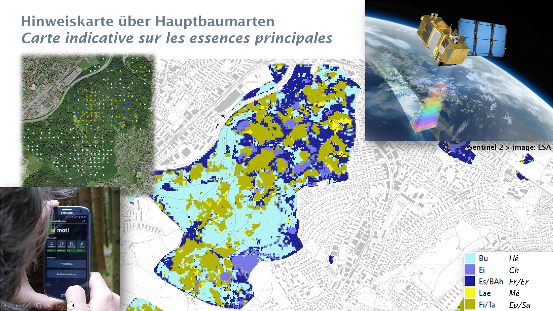 monitoring wald