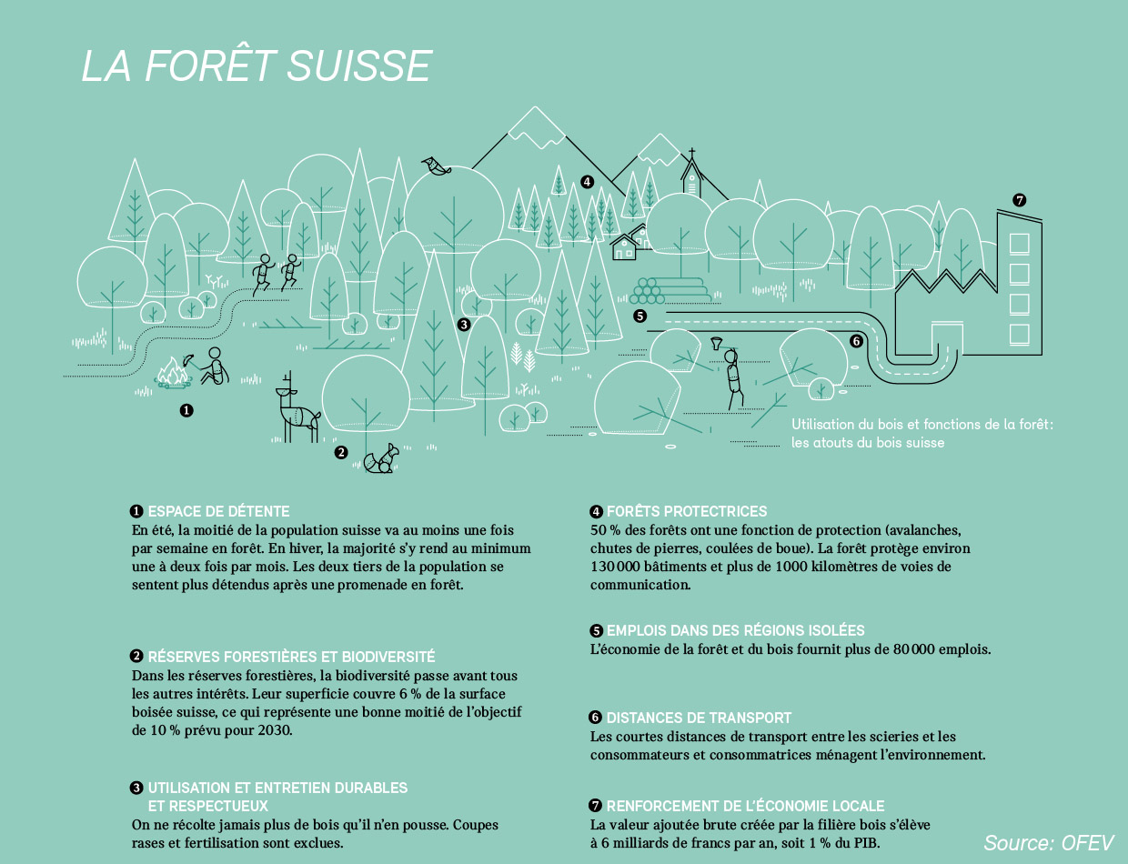 Infographique «La forêt Suisse»