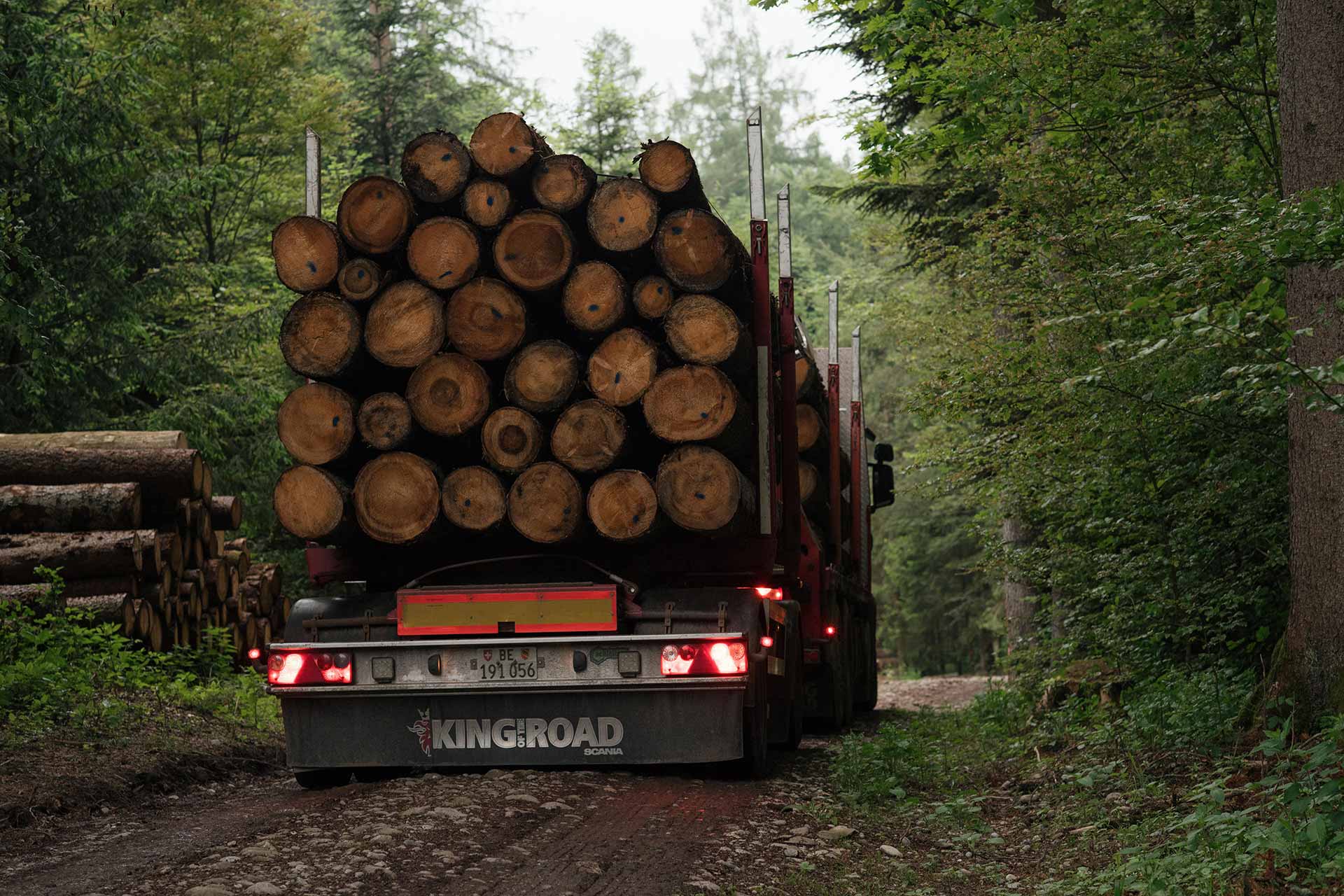 Gefällte Baumstämme auf dem Weg in die Sägerei