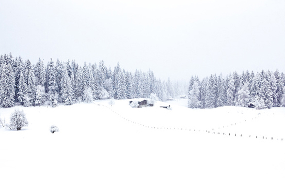 Maison en bois dans un paysage de neige à Flims.