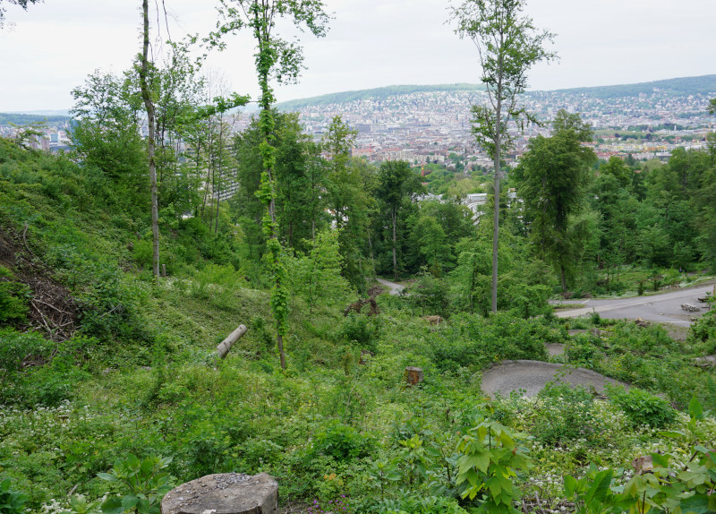 Plateau