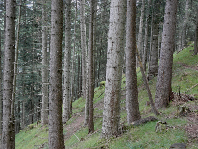 Alpes