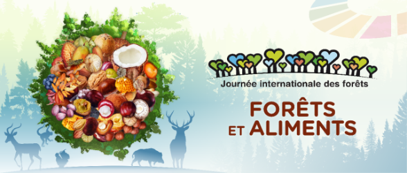 ITW2025_FRENCH-BANNER_4000x1708px