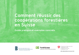 Cover Kooperationen in der Schweizer Waldwirtschaft