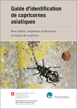 Cover Guide d’identification de capricornes asiatiques