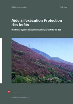 Aide Protection des forêts
