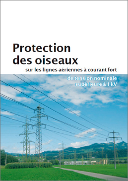 Protection des oiseaux sur les lignes aériennes à courant fort