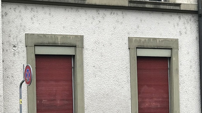 mauerspinne