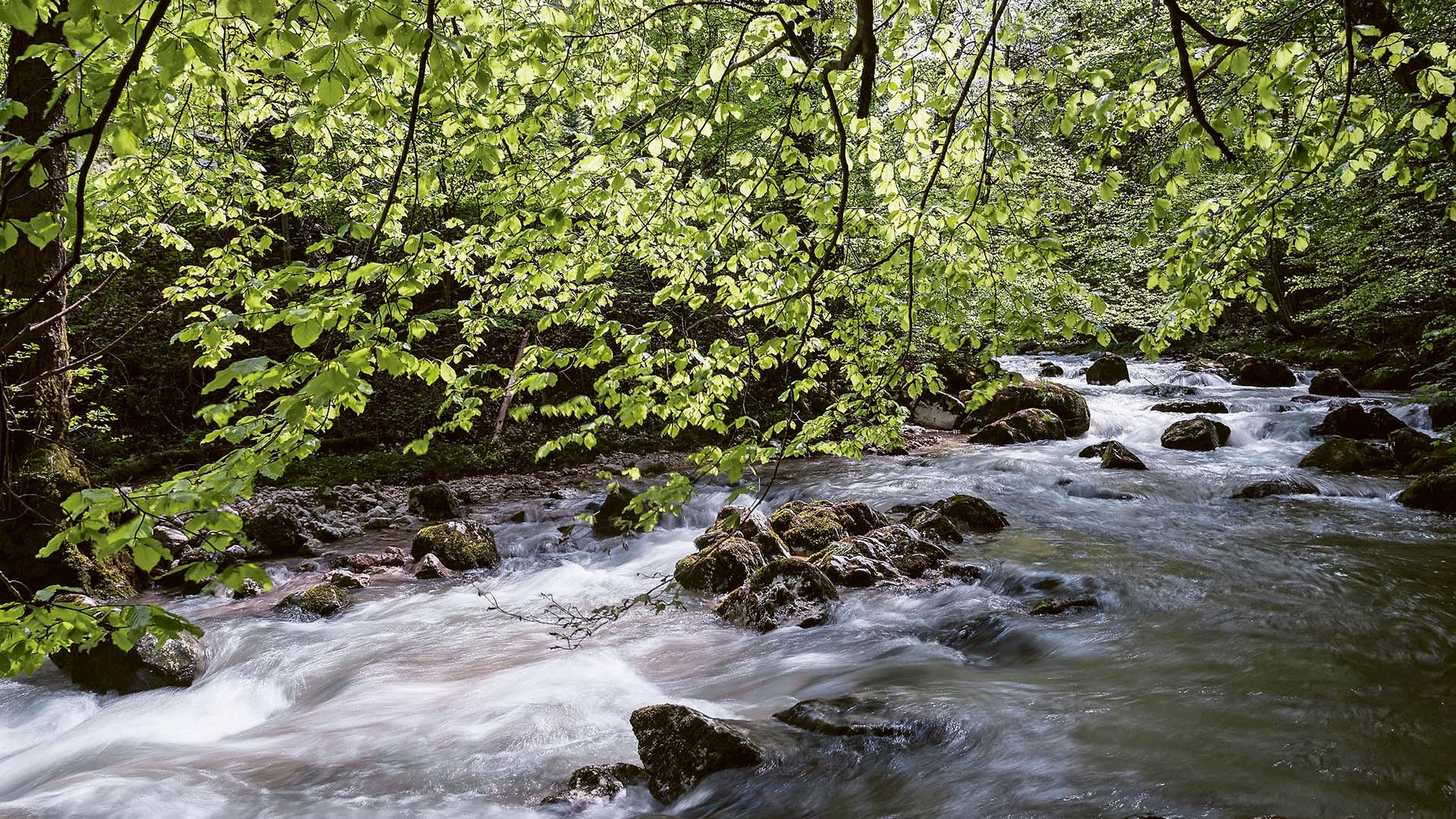 Die Birs Mebenfluss des Rheins