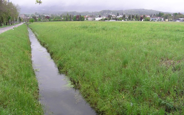 Stadtmist