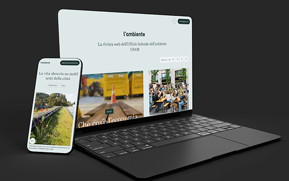 Die-Umwelt-Mockup-V1-IT-Brennpunkt