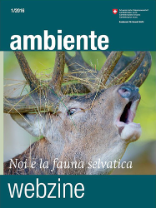 Cover Magazin «umwelt» 1/16 - Wildtiere unter uns