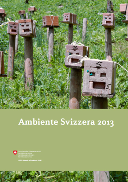 Cover Rapporto sull'ambiente 2013