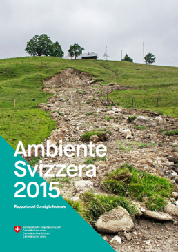 Cover Rapporto sull'ambiente 2015