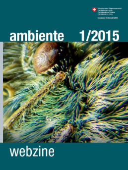 Webzine ambiente 1/2015