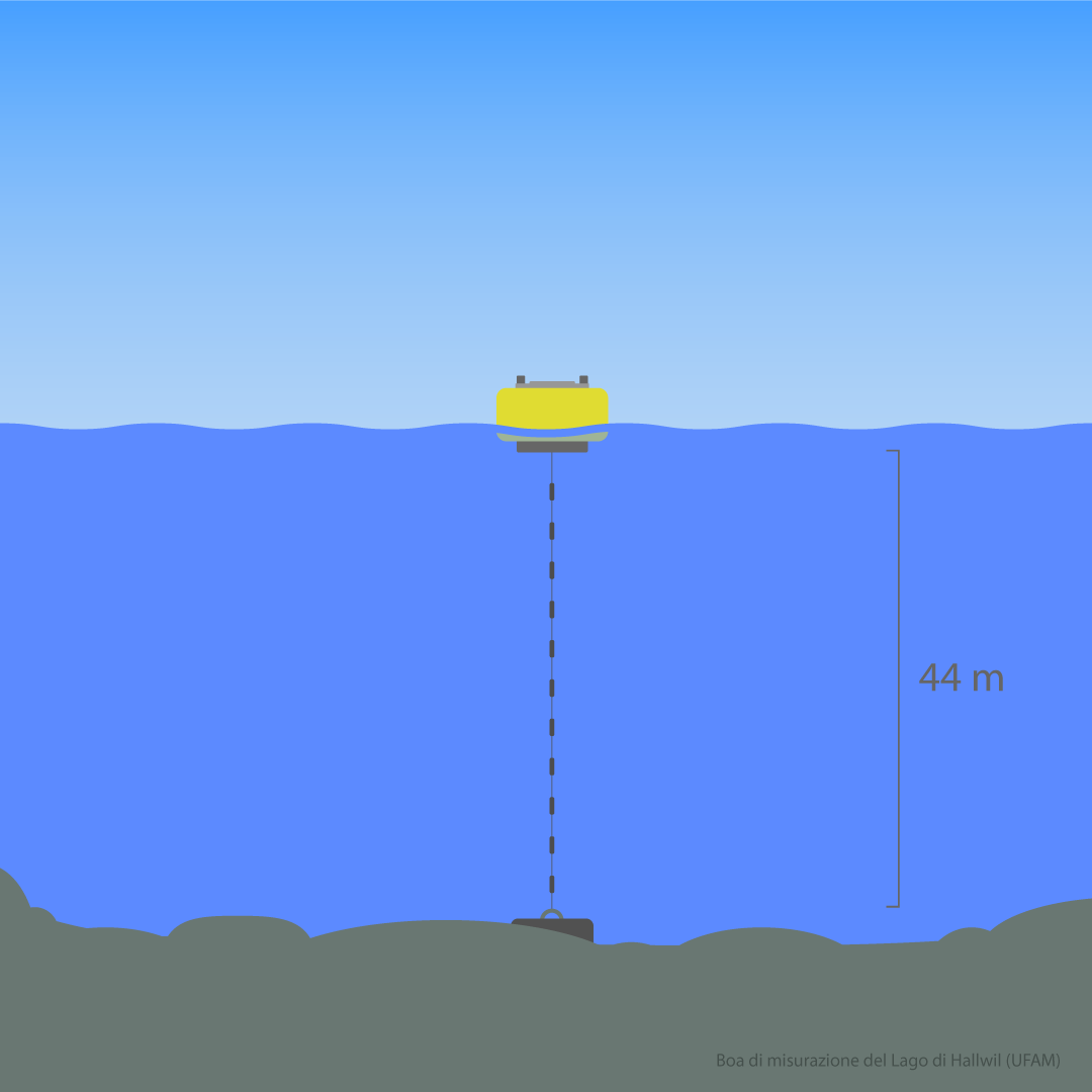 Schema del sistema di misura della temperatura nel lago di Hallwil