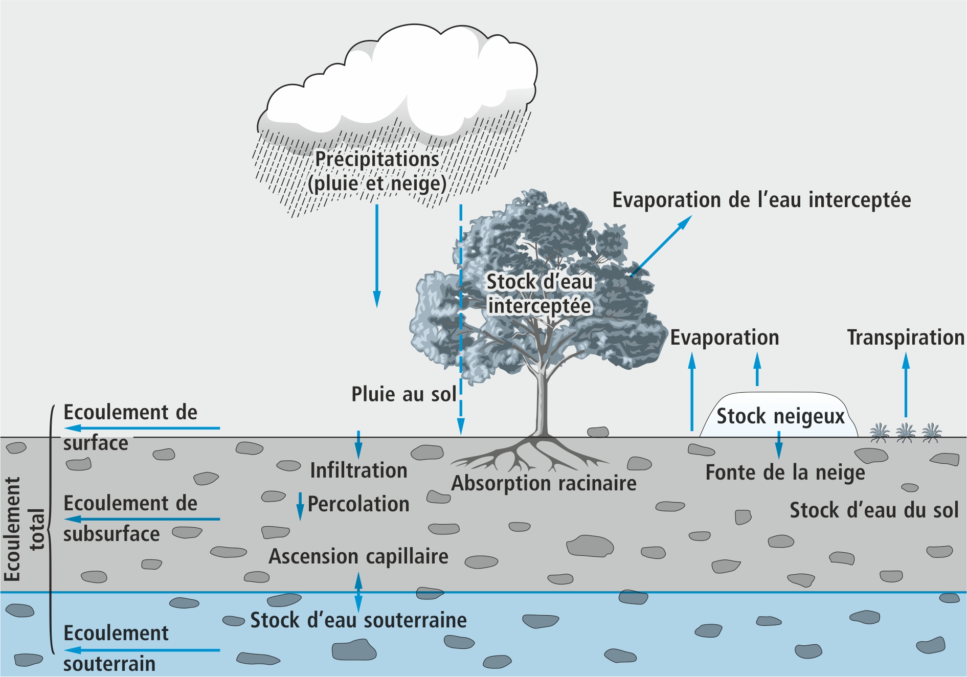 Les éléments du cycle de l'eau