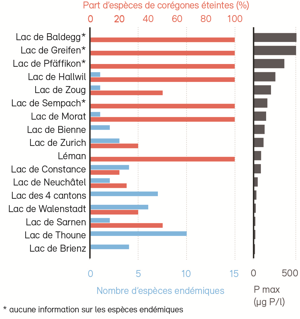Espèces dans les lacs suisses