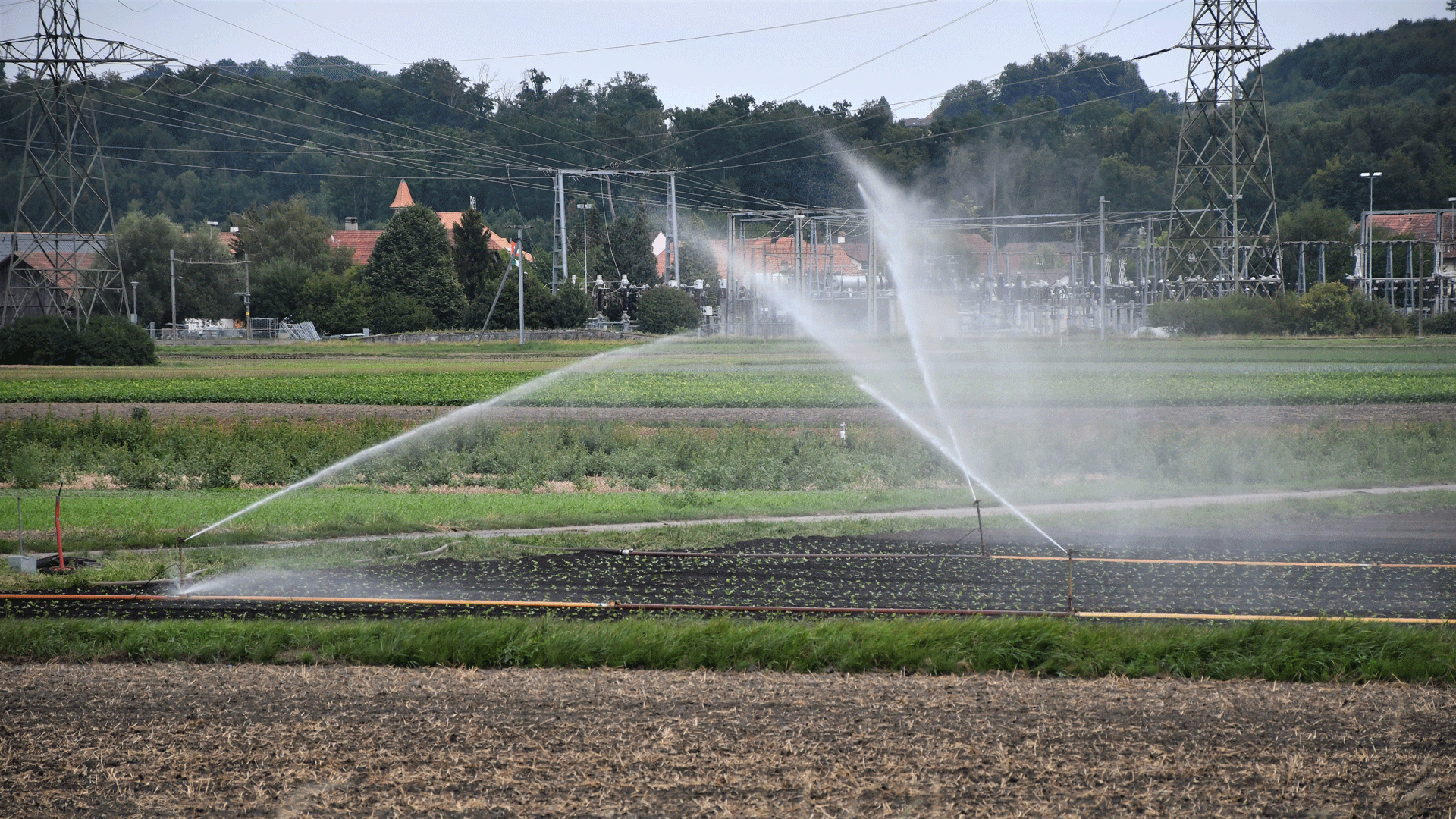 Bewässerung Landwirtschaft