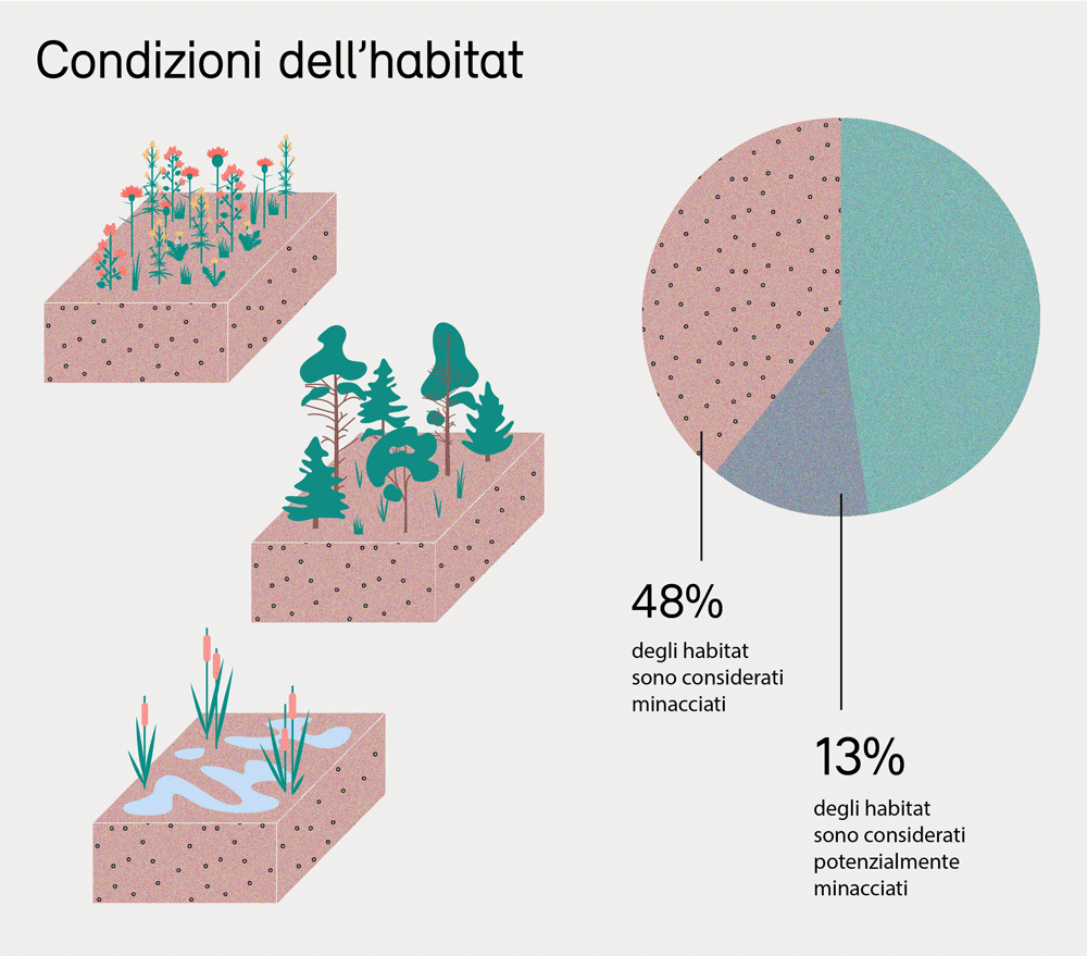 Condizioni degli habitat