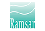 Ramsar Logo