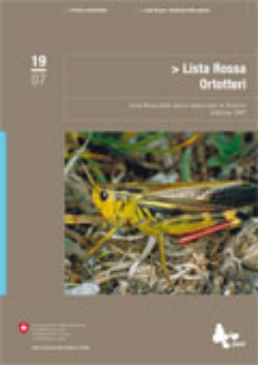 Cover Lista Rossa delle specie minacciate in Svizzera: Ortotteri. Edizione 2007. 62 p.