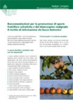 Cover Raccomandazioni per la promozione di specie fruttifere selvatiche e del biancospino malgrado il rischio di infestazione da fuoco bat terico. 2004. 4 p.