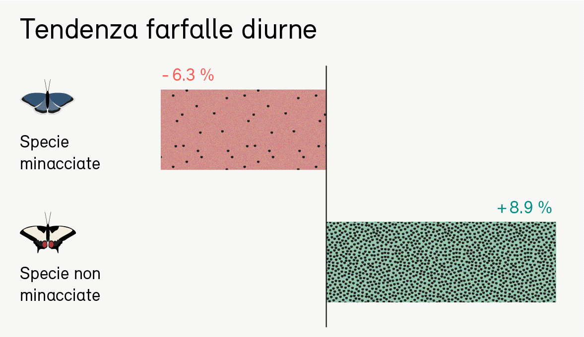Webdossier_insekten-IT_grafik03